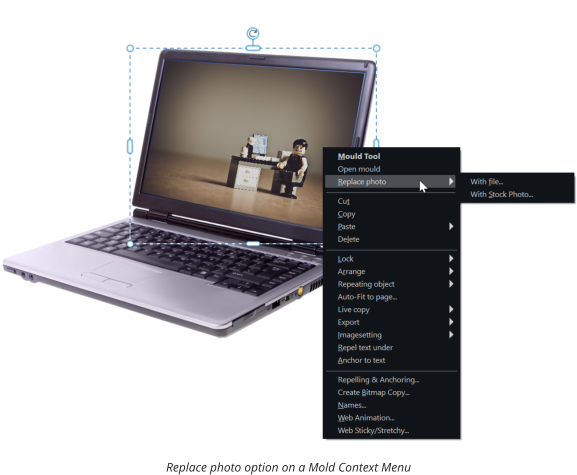 Replace photo option on a Mold Context Menu